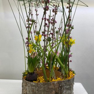 centrotavola, giacinti, narcisi