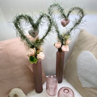 tillandsia, cuore, festa della mamma, regalo